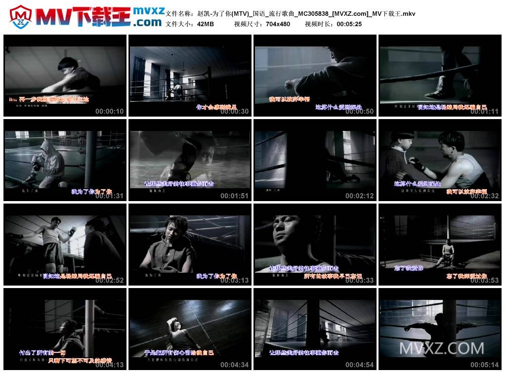 赵凯-为了你(MTV)_国语_流行歌曲_MC305838